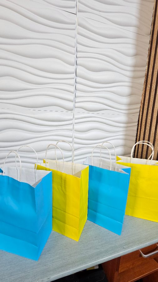 Plain paper bags