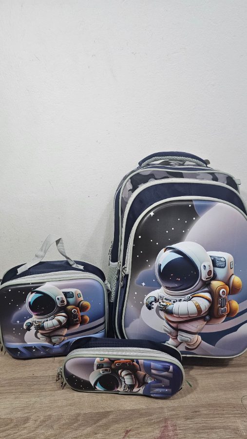 3in1 bag old big